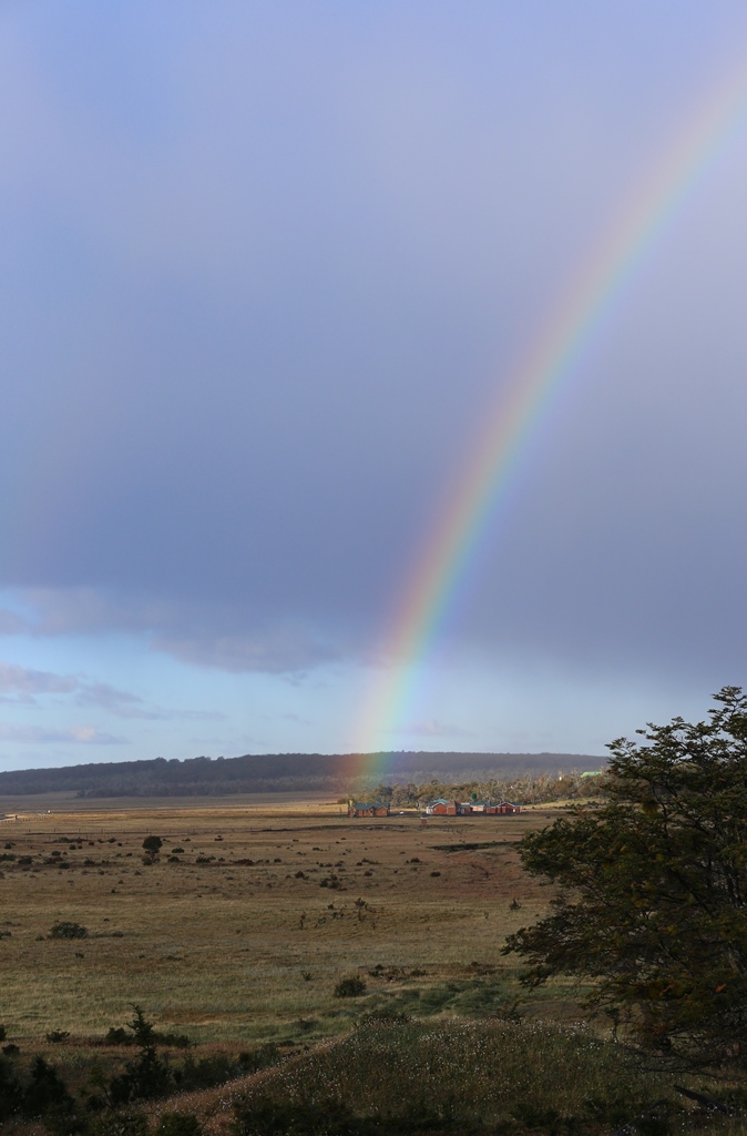 und ein Regenbogen über Pampa Guanako, kein Witz, so heisst es hier;)